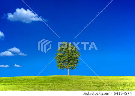 在小山的一棵唯一樹反對與雲彩的藍天。背景材料 在小山的一棵唯一樹反對與雲彩的藍天。背景材料 64194574