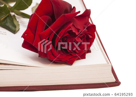 open book and red rose 64195293