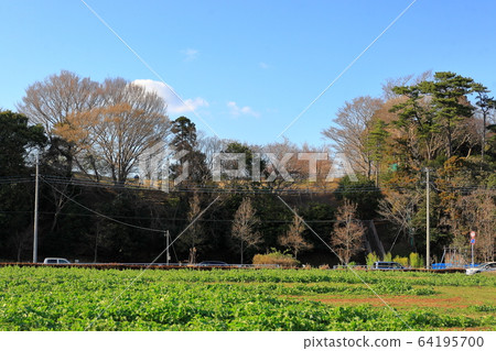 高野山桃山公園 高野山桃山公園 64195700