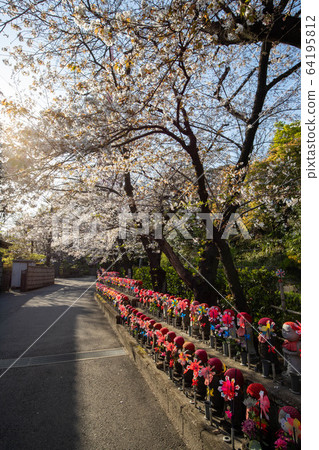 (東京都港區)上條寺 (東京都港區)上條寺 64195812