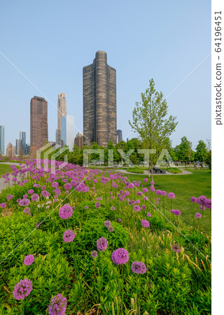 美國伊利諾伊州芝加哥市從海軍碼頭到市區 64196451