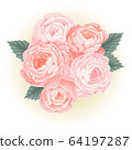 pink roses bouquet blossom flower illustration vector 64197287