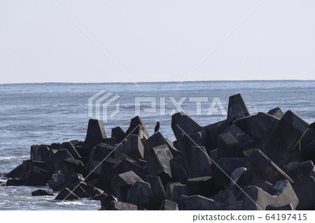 海浪,海浪,四腳架,防波堤,風化,晃動,海邊粗糙 海浪,海浪,四腳架,防波堤,風化,晃動,海邊粗糙 64197415