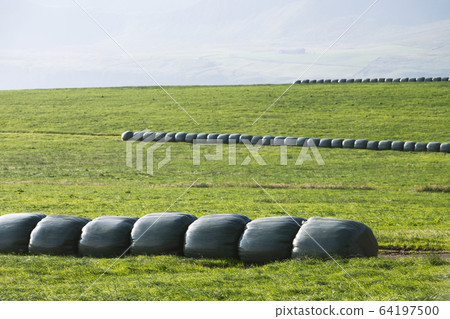 Rural scene with farm field and hay stacks Rural scene with farm field and hay stacks 64197500