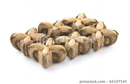 Nuts Incas , sacha inchi peanut seed an isolated 64197545