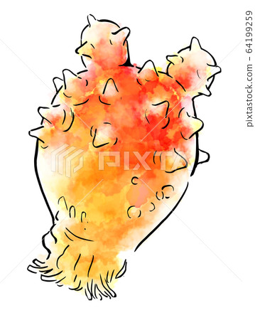 Food Illustration Seafood Hoya 64199259