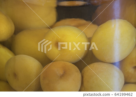 開始醃製李子 開始醃製李子 64199462