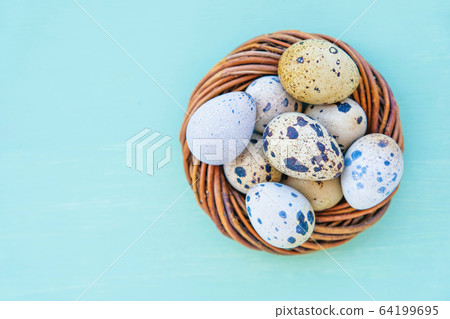 Colorful quail eggs in bird nest on light blue background. 64199695