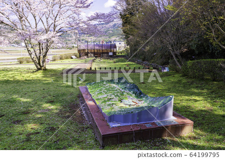 [靜岡]櫻花盛開的田納斷裂公園，地形模型 64199795