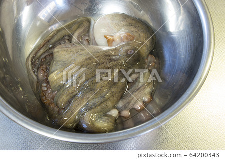 Raw octopus 64200343