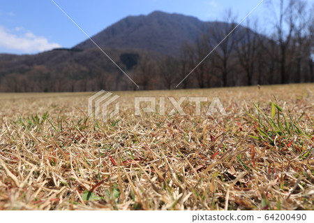 Nakaharu mountain landscape 64200490