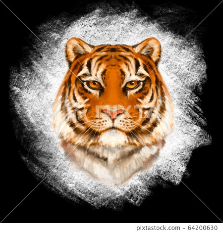 Coloful tiger illustration Coloful tiger illustration 64200630