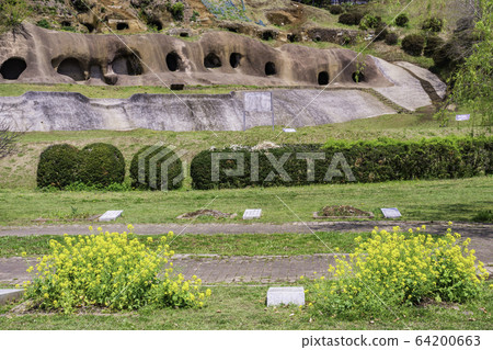 [Kanan Town, Shizuoka Prefecture] Side holes in Kasuya Park 64200663