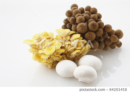 3 kinds of mushrooms 64201458