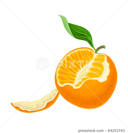 Half Peeled Mandarin or Tangerine Fruit with Green Leaves Isolated on White Background Vector Illustration 64201543