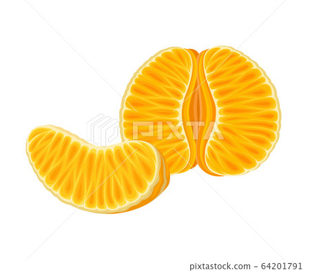 Fresh Peeled and Halved Mandarin or Tangerine Fruit Isolated on White Background Vector Illustration Fresh Peeled and Halved Mandarin or Tangerine Fruit Isolated on White Background Vector Illustration 64201791