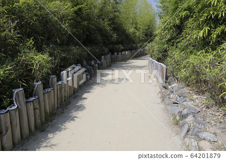 Footpath between bamboo forest Footpath between bamboo forest 64201879
