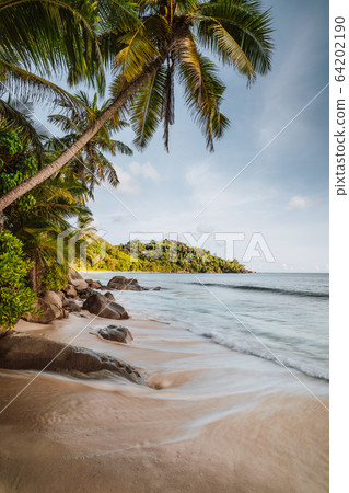 Mahe Island, Seychelles. Holiday vocation on the beautiful Anse intendance tropical beach. Coconut palm trees and ocean waves rolling towards the shore 64202190