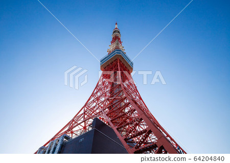 （東京都港區）仰望東京鐵塔 64204840