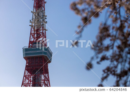(東京都港區)仰望東京鐵塔 (東京都港區)仰望東京鐵塔 64204846