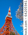 (東京都港區)東京鐵塔和櫻花 (東京都港區)東京鐵塔和櫻花 64205941
