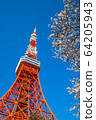 (東京都港區)東京鐵塔和櫻花 (東京都港區)東京鐵塔和櫻花 64205943