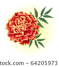 red yellow marigold illustration vector 64205973