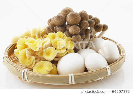 Mushroom 3 species monkey 64207583