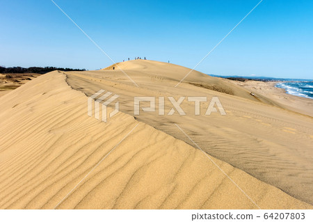 Tottori sand dune wind crest blue sky Tottori sand dune wind crest blue sky 64207803