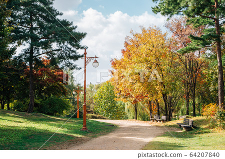 World Cup Park, Pyeonghwa park at autumn in Seoul, Korea World Cup Park, Pyeonghwa park at autumn in Seoul, Korea 64207840