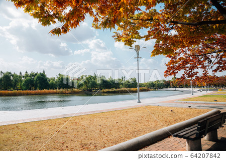 World Cup Park, Pyeonghwa park at autumn in Seoul, Korea World Cup Park, Pyeonghwa park at autumn in Seoul, Korea 64207842