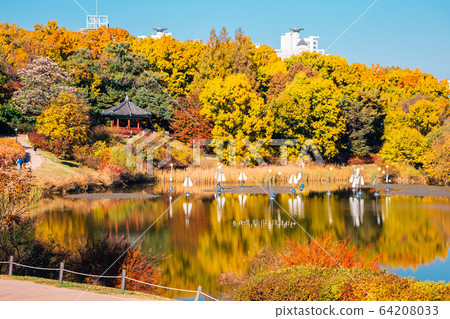 Olympic park, autumn maple and lake in Seoul, Korea Olympic park, autumn maple and lake in Seoul, Korea 64208033