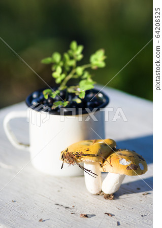 Yellow russula and ripe blueberry in metal mug on Yellow russula and ripe blueberry in metal mug on 64208525