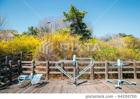 Eungbongsan mountain public park exercise fitness equipment with forsythia flowers in Seoul, Korea Eungbongsan mountain public park exercise fitness equipment with forsythia flowers in Seoul, Korea 64208700