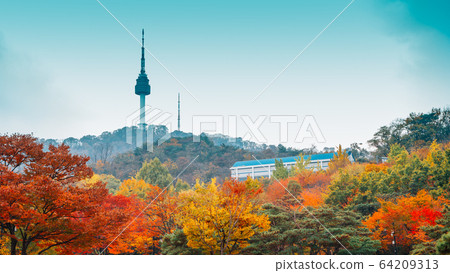 Namsan Seoul Tower with autumn maple trees in Korea 64209313
