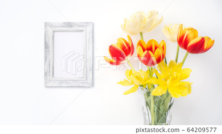 鬱金香裝飾母親節鬱金香裝飾母親節鬱金香裝飾 鬱金香裝飾母親節鬱金香裝飾母親節鬱金香裝飾 64209577