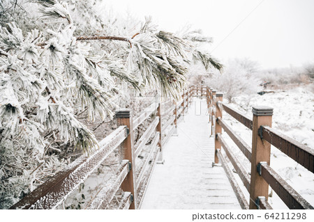 Snowy winter Hallasan mountain 1100 highland in Jeju Island, Korea Snowy winter Hallasan mountain 1100 highland in Jeju Island, Korea 64211298