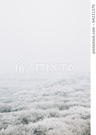 Snowy winter Hallasan mountain 1100 highland in Jeju Island, Korea 64211370