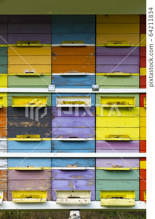 bee hive in Vipavska Dolina in Slovenia bee hive in Vipavska Dolina in Slovenia 64211834
