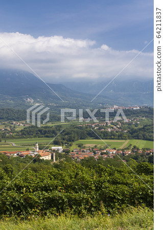 Vipava valley in Gorice region, Slovenia Vipava valley in Gorice region, Slovenia 64211837