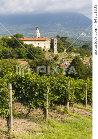 Vipava valley in Gorice region, Slovenia 64211838