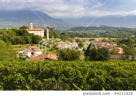 Vipava valley in Gorice region, Slovenia 64211839