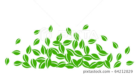 Falling green leaves. Fresh tea neat leaves flying 64212829