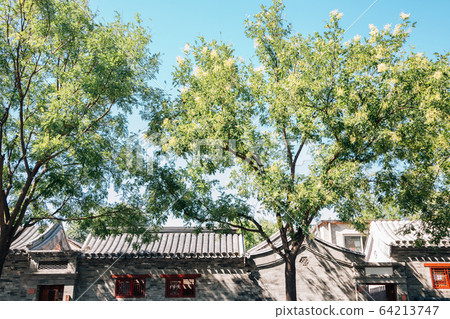 Dongcheng Yonghegong street, Chinese old street Hutong in Beijing, China Dongcheng Yonghegong street, Chinese old street Hutong in Beijing, China 64213747