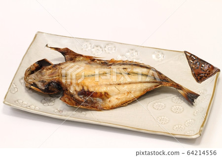 竹莢魚的開幕 竹莢魚的開幕 64214556