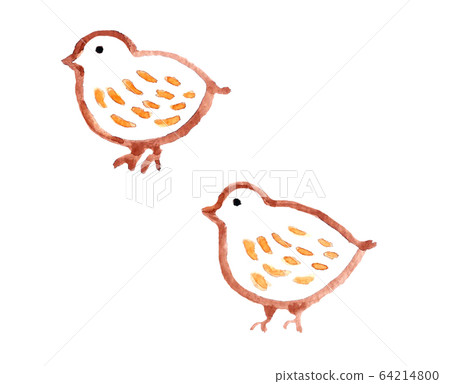 雷鳥Hina家庭 64214800