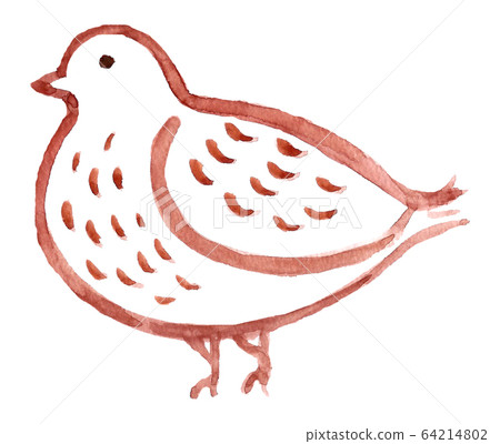 Thunder bird 64214802