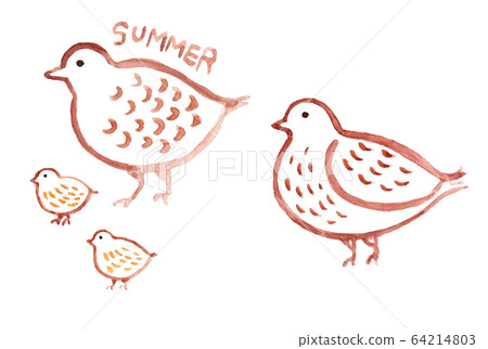 雷鳥,父母和孩子,家庭 雷鳥,父母和孩子,家庭 64214803