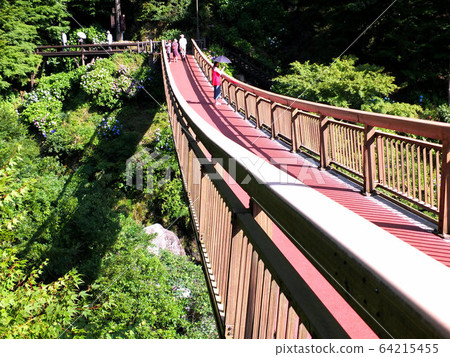 橋歸鄉瀑布風景 橋歸鄉瀑布風景 64215455