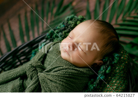 Little cute baby sleeps in a wicker basket of vines decorated with green palm leaves in a green blanket. Happy childhood 64215827